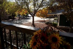 exterior-313-Oak-Ridge-2