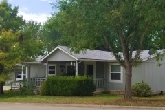 323-Live-Oak-1