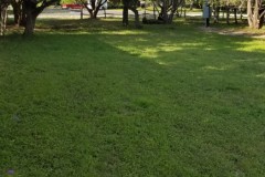 cedar-oaks-back-yard-2