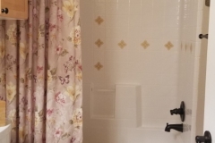 reid-guest-bath